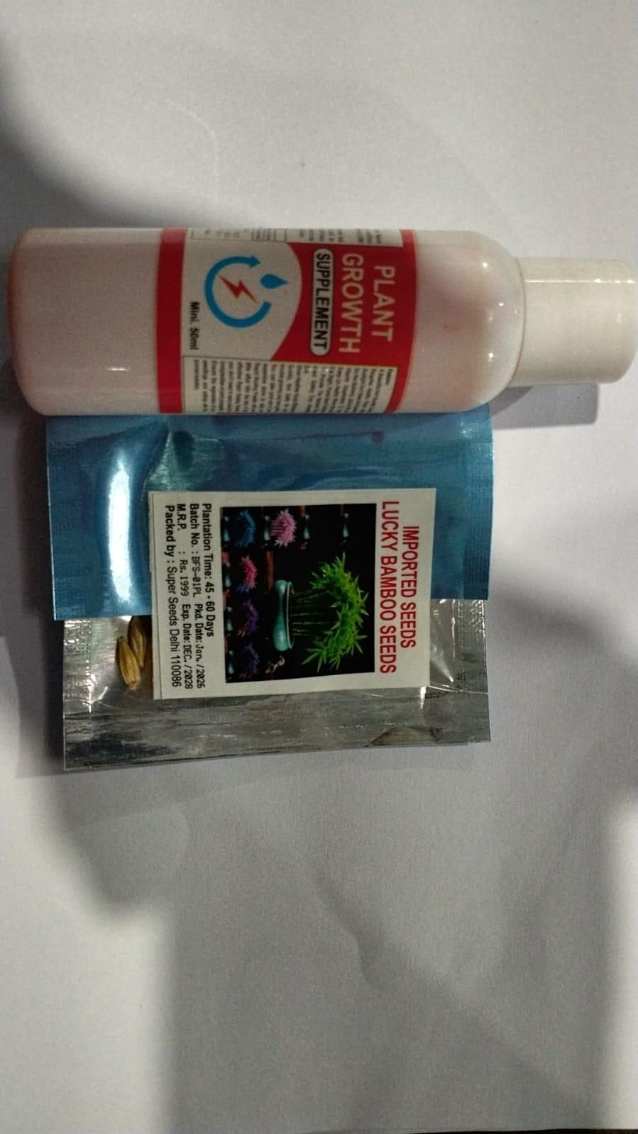 Multi Colour Lucky Bamboo Seeds + Plant Growth Serum 50 ML Free