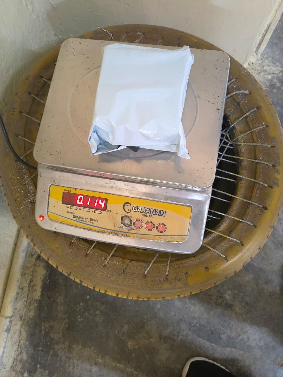 Kaner/Nerium Oleander Yellow Flower Plant