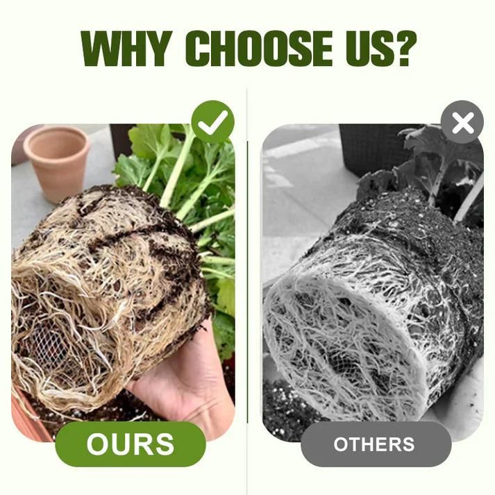 Soluble Disease Control Fertilizer 200 ml Pack of 2