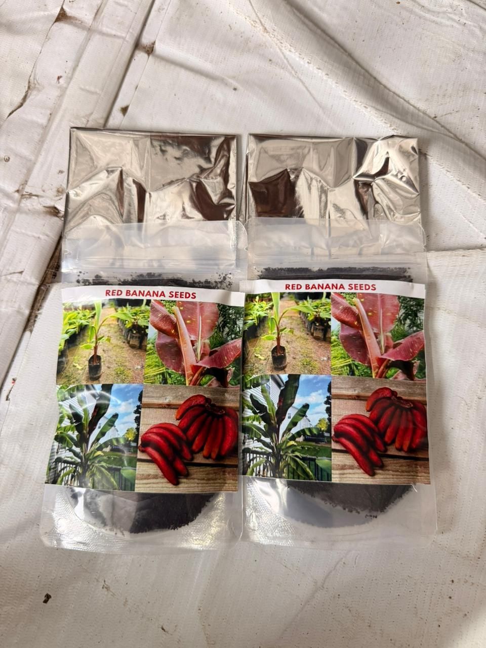 Red Banana Seeds (Pack of 1)