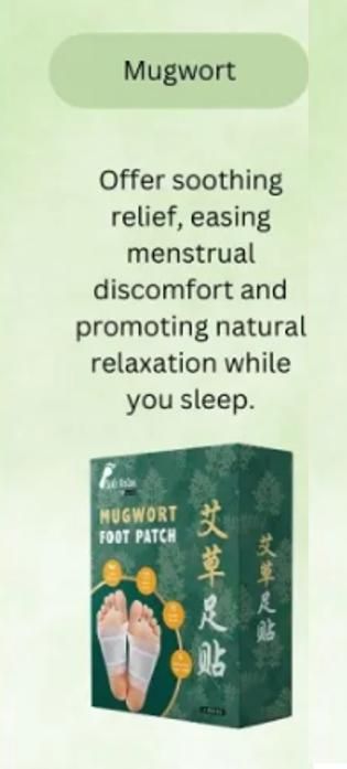 Mugwort Sole Detox Patch (Pack of 20)