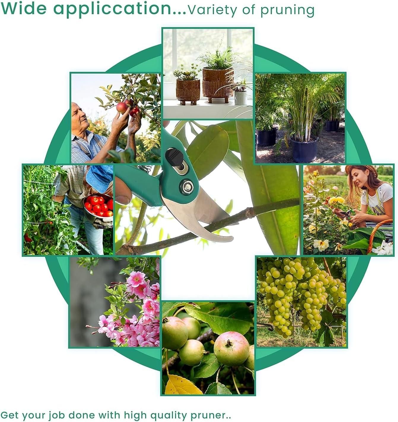 Assorted Hand Pruner Cutter